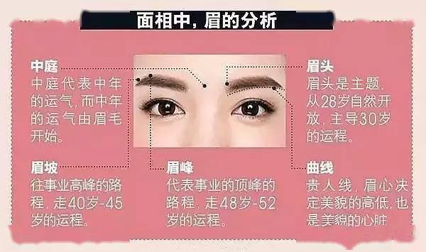 眉不过框, 富贵不长, 眉尾散乱, 有钱难聚!_眉毛