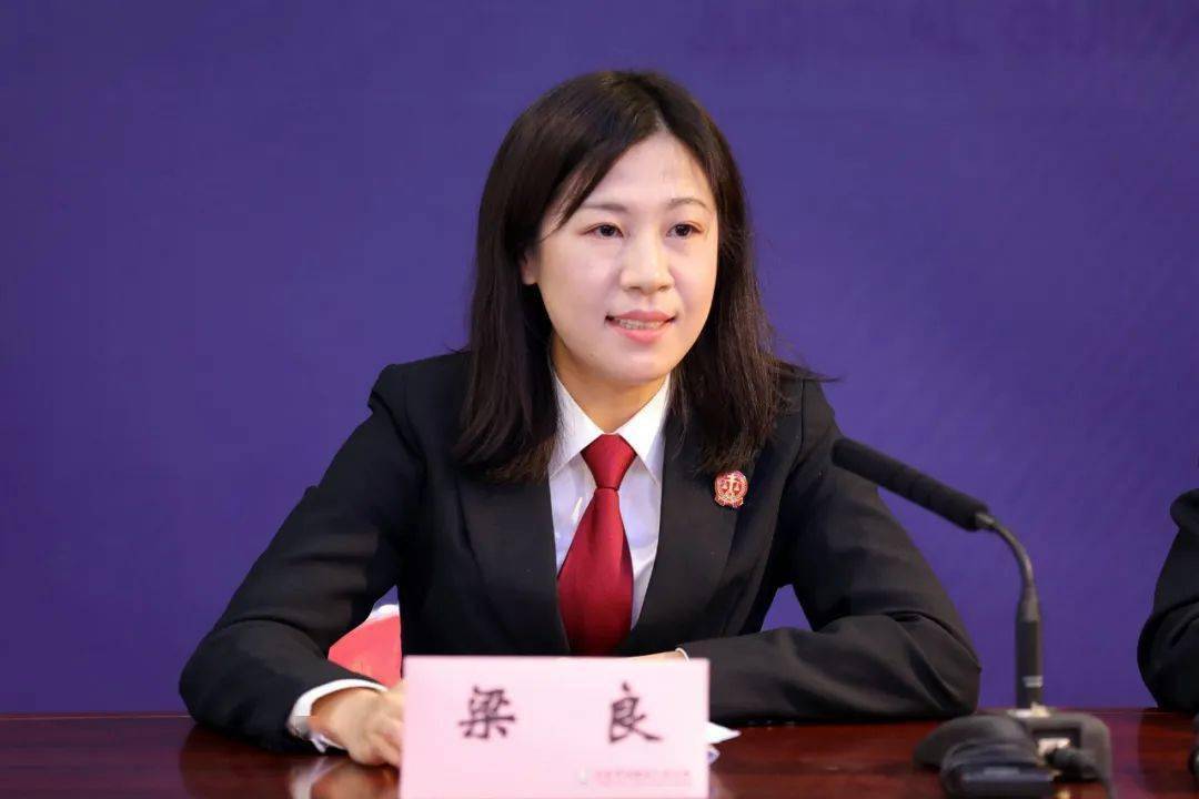 北京西城法院多元调解搭好老年人家事纠纷"连心桥"