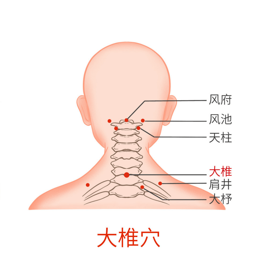 大椎位置图图片