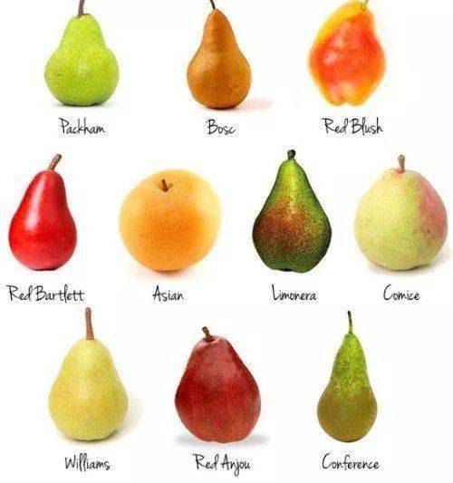 梨的颜色各种各样图片