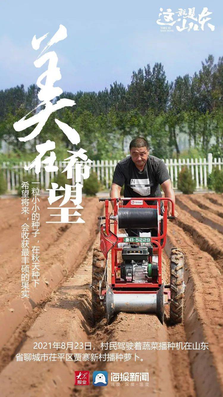 山东 这就是山东丨山东的秋天为什么这么美?