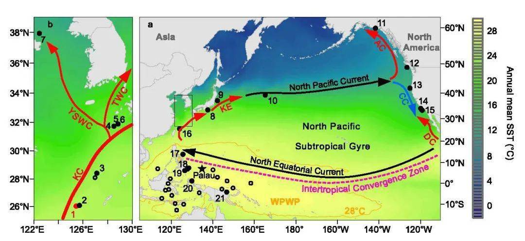 gyre, npsg)是由北赤道流,黑潮(kuroshio current,kc)及其延伸体,加里