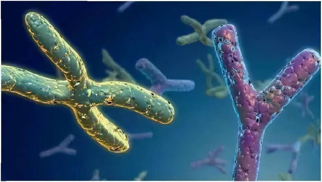 科普|一文了解无精子症