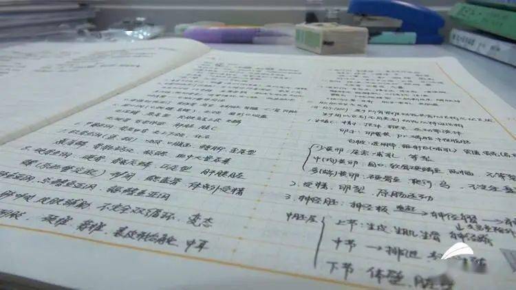 山东一男孩解剖小龙虾 获保送清华北大资格 陈冠彬 全网搜