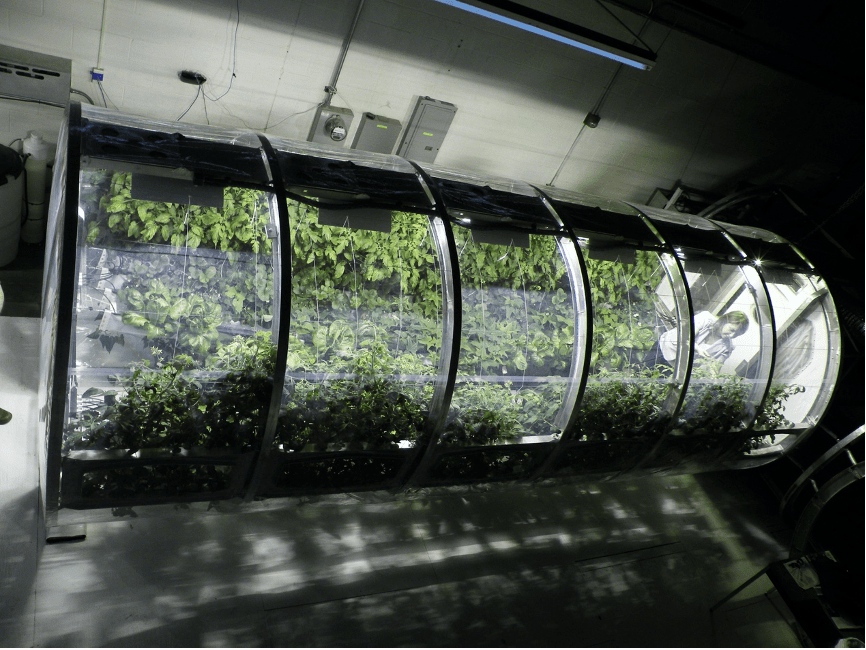 在未来，我们将如何在月球上生活？