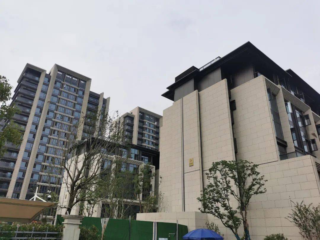 实景多图中杭府今天启动登记摇吗