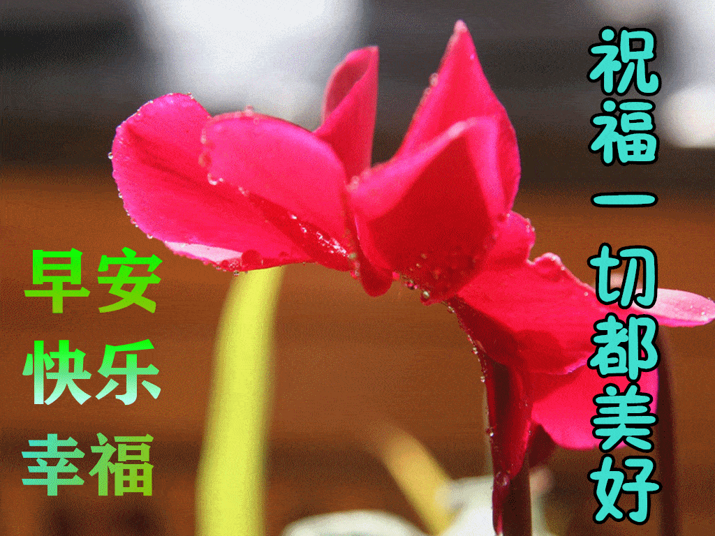 10月15日早上好动态表情图片大全早晨好动图美图大全