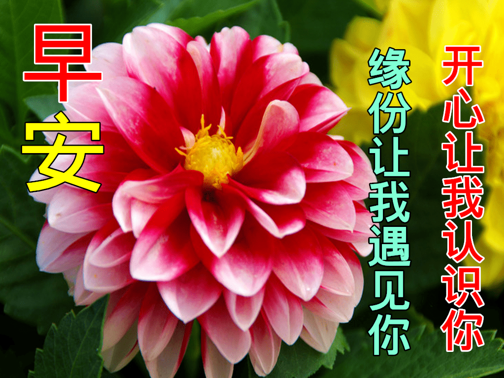 10月15日早上好动态表情图片大全早晨好动图美图大全