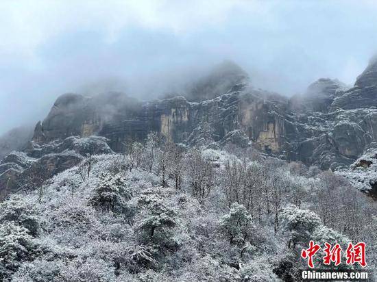 初雪|青海高原“水墨雪景图”：深秋黄遇初雪白