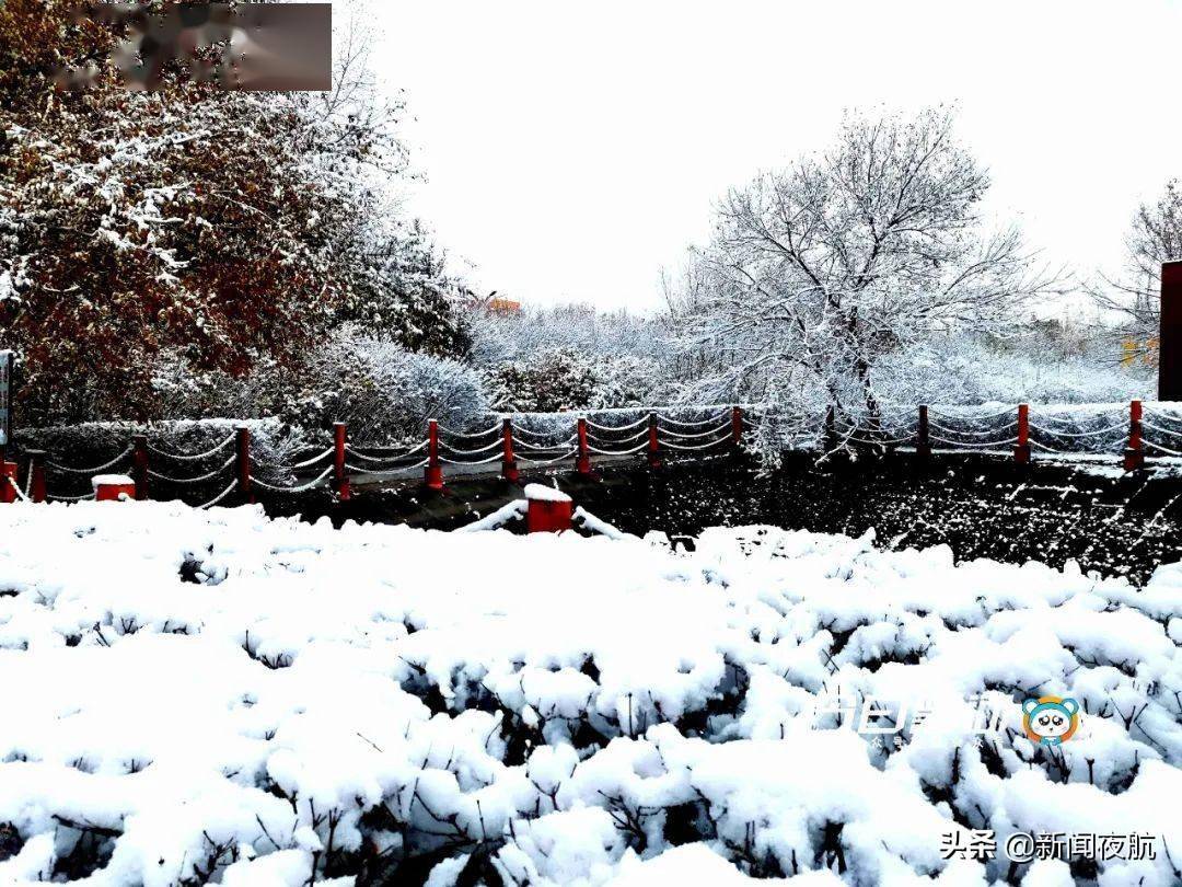 哈尔滨|黑龙江省多地迎来第一场雪！强冷空气来袭，大部地区最高气温10℃以下