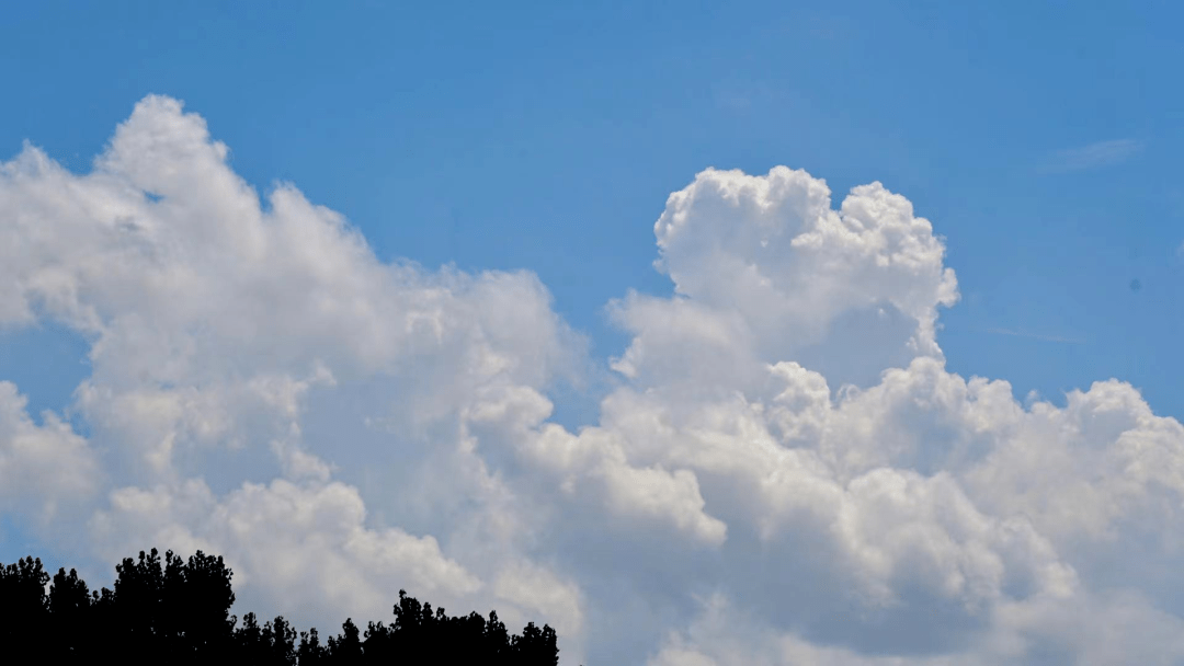 1ca733bfd90046fd966b576964c7f958.png
