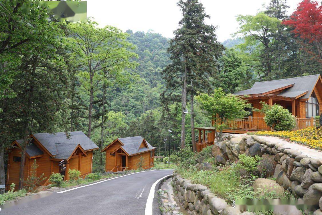 江西武宁绘就乡村振兴新画卷