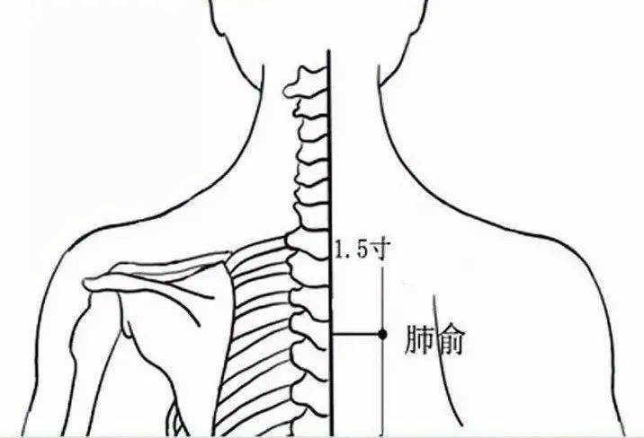 1 按摩肺俞穴