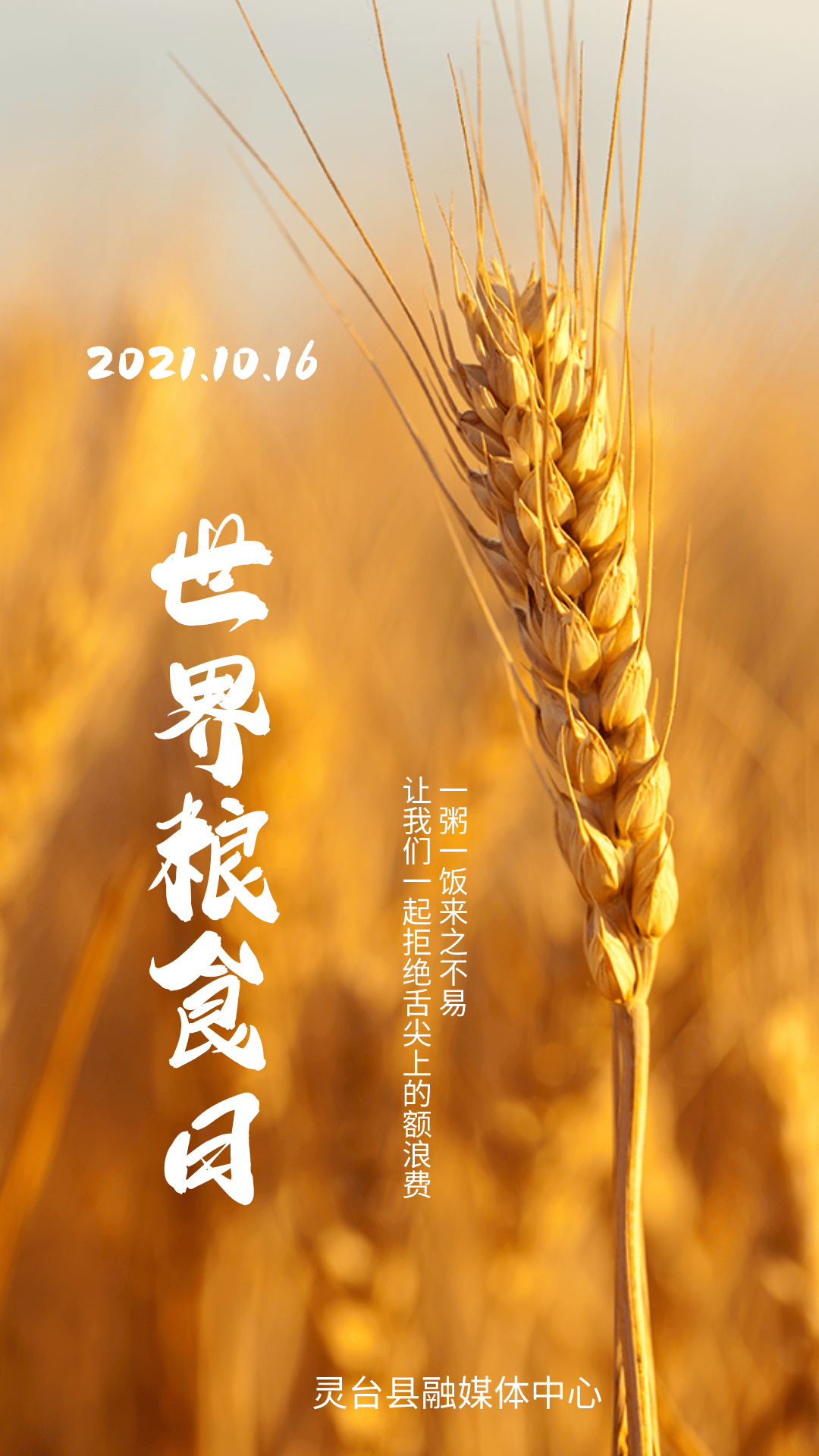 世界粮食日 | 从我做起 拒绝舌尖上的浪费