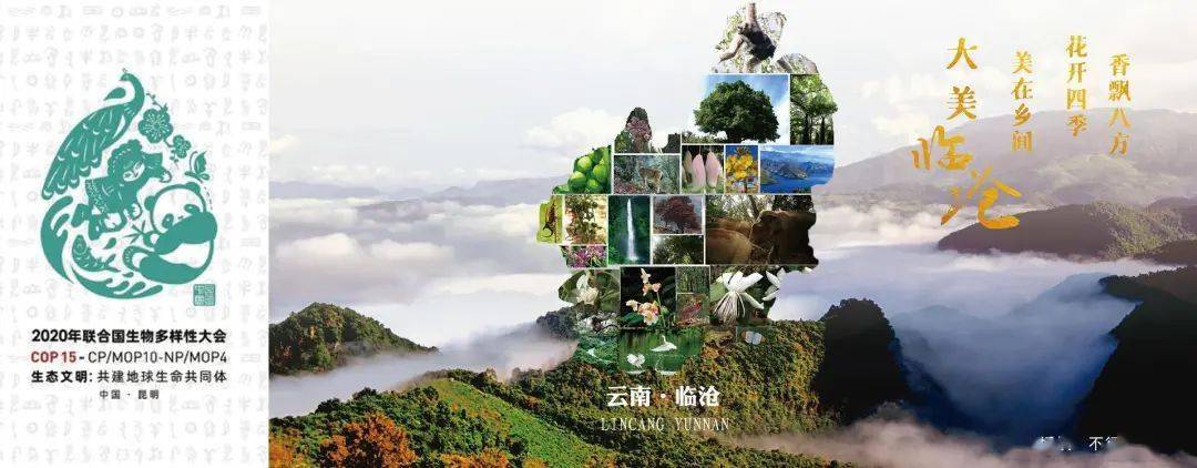 海报里的"cop15最临沧"