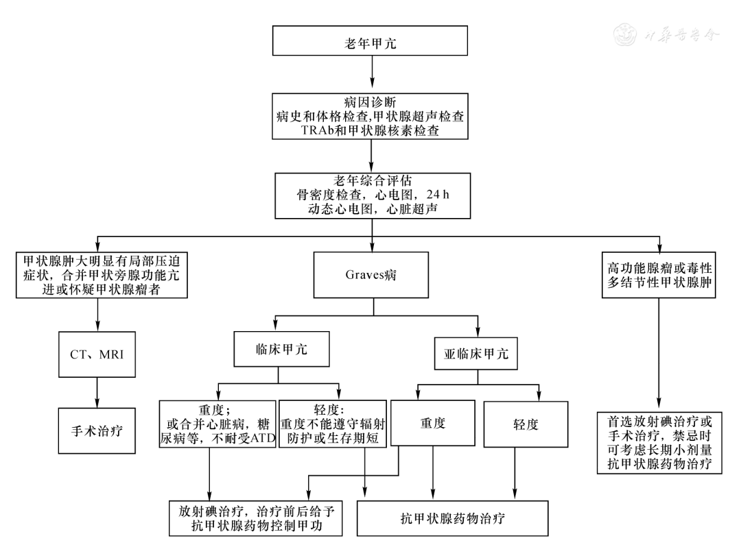 流程图 推荐7:老年人甲亢的常见病因包括graves病,毒性多结节性甲状腺