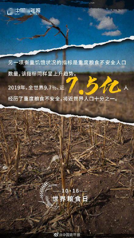 食物|关于粮食你可能不知道的事实