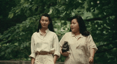 绝顶 为什么亦舒笔下，都是绝顶大美女？