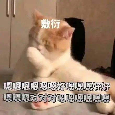 88e66ac6a2bf44bea09460be44d615fe.jpeg