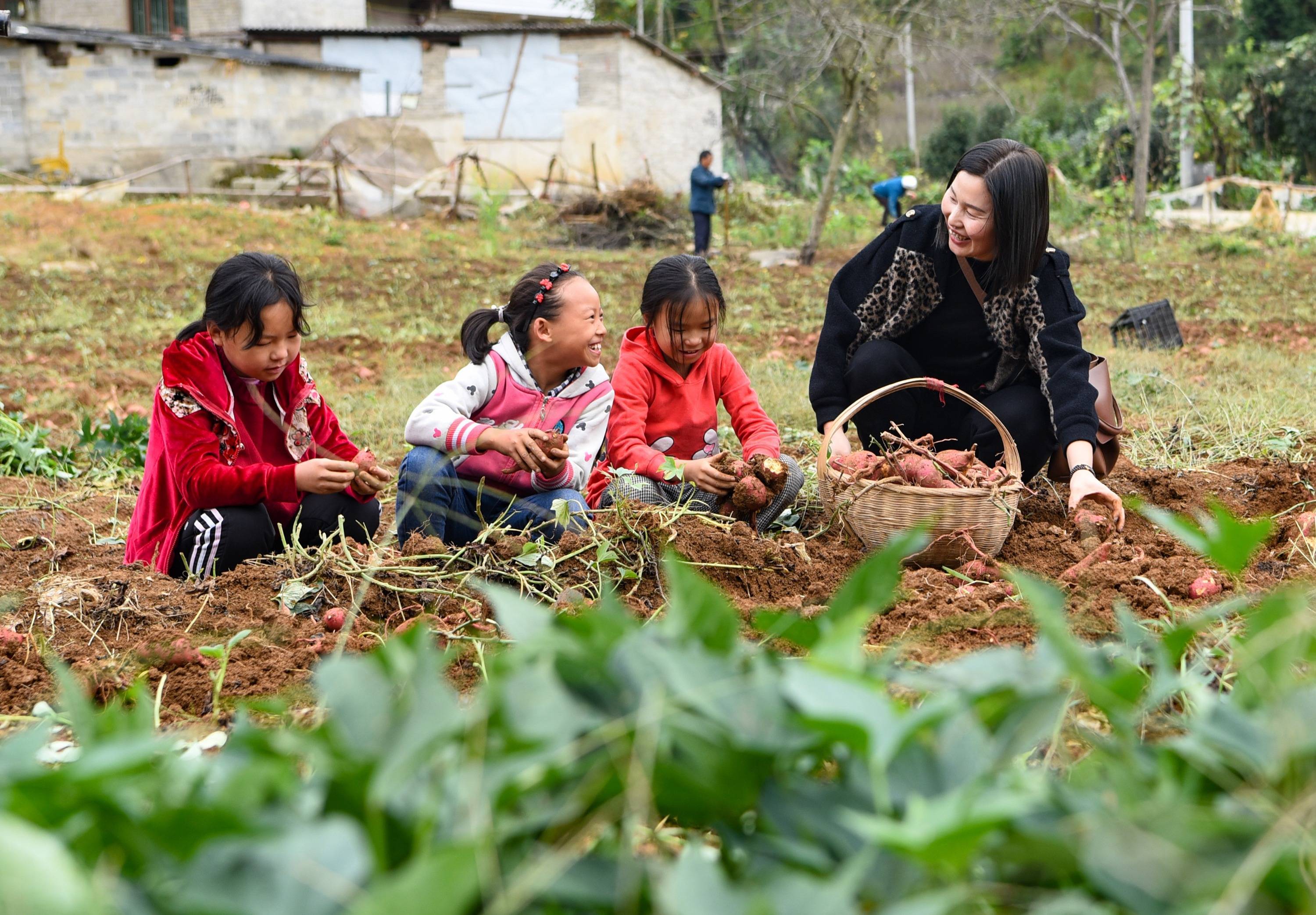 贵州黔西体验农耕辛苦倍加珍惜粮食