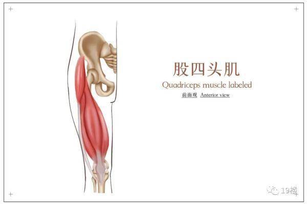 运动|23岁杭州姑娘因为裤子太短…进了医院