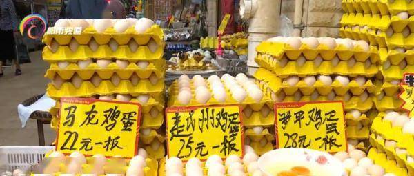 口感|“土鸡蛋”真的比“洋鸡蛋”好吗？答案是......