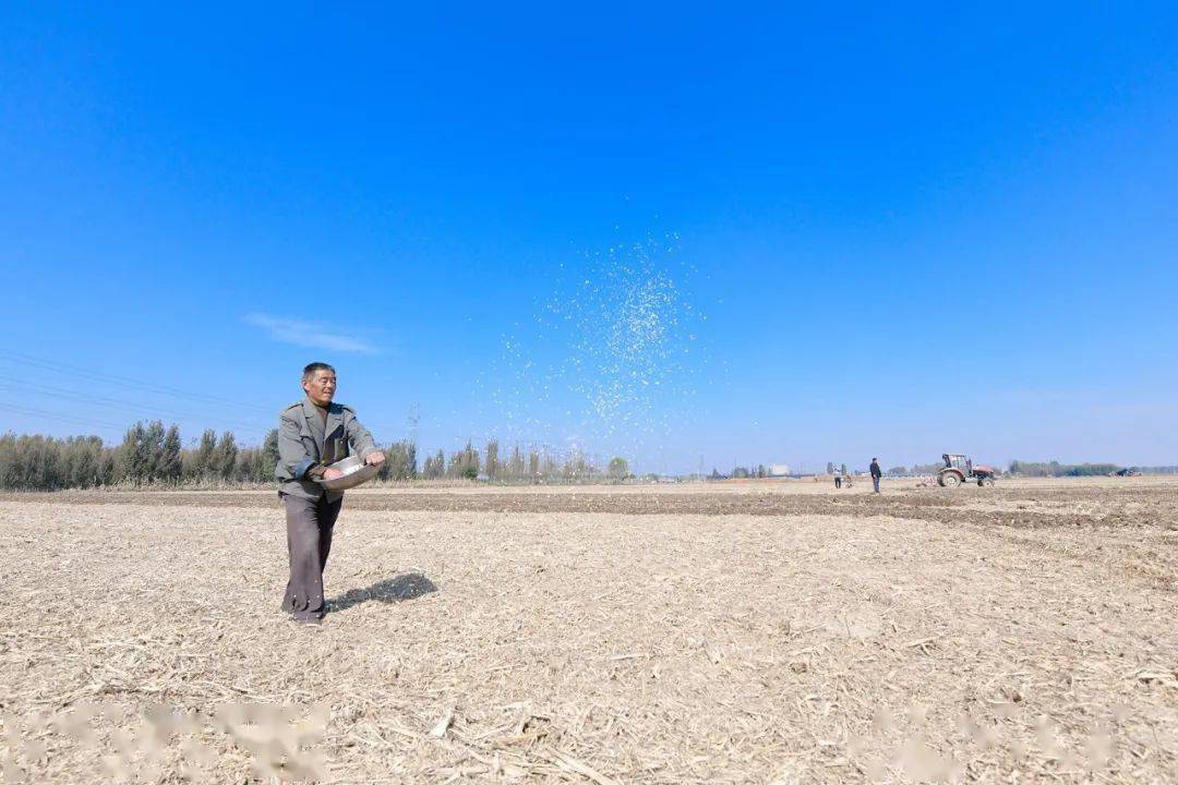 9d8ac084c36a48bc8003fca1d1b8bbf4.jpeg