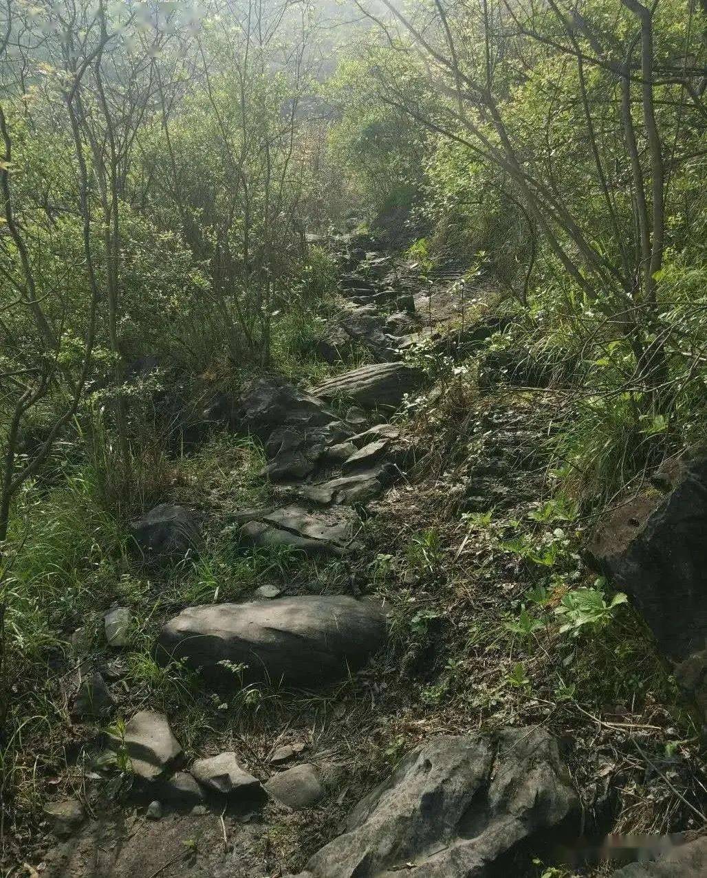 开福寺周六1023通城黄袍山徒步穿越攀爬128车费保险晚餐