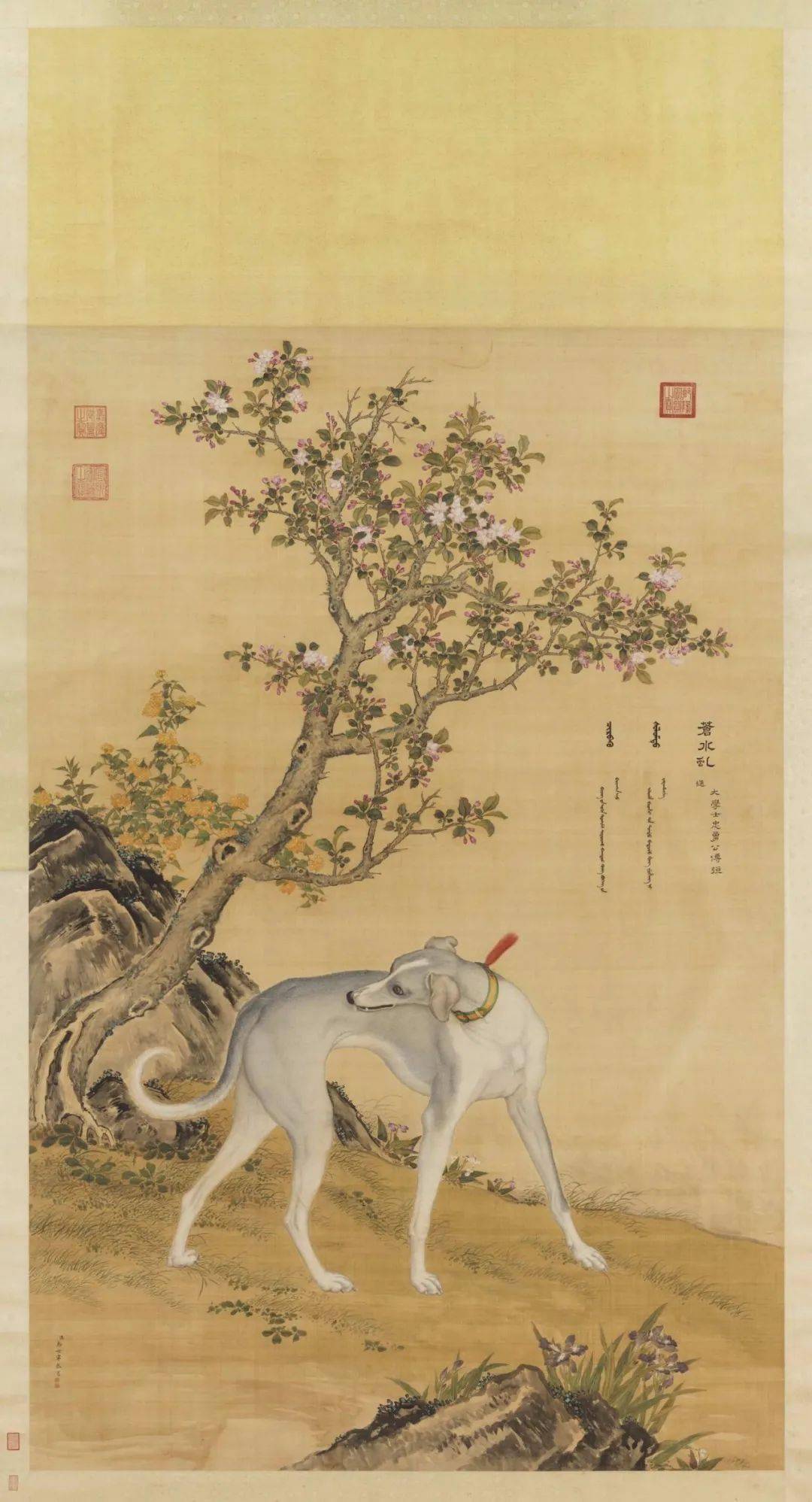 乾隆皇帝的十条爱犬在西洋画家笔下栩栩如生