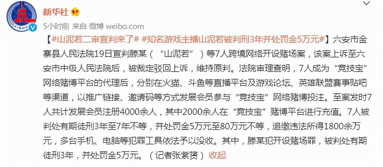 但山泥若这位创造者,却在几个月前,因为涉嫌聚众赌博被依法逮捕,并且