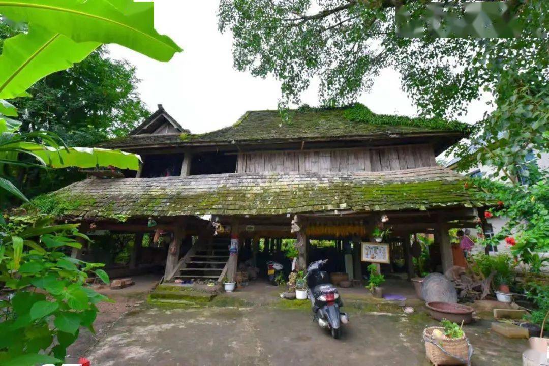 云南西双版纳徒步:2021年12月18日-23日,西双版纳原始热带雨林徒步