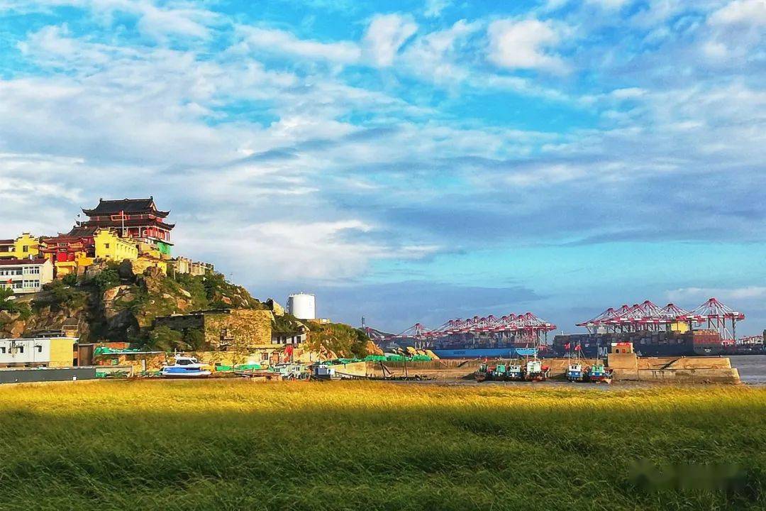 秋天第一碗洋山海鲜砂锅,送你滚烫人生!