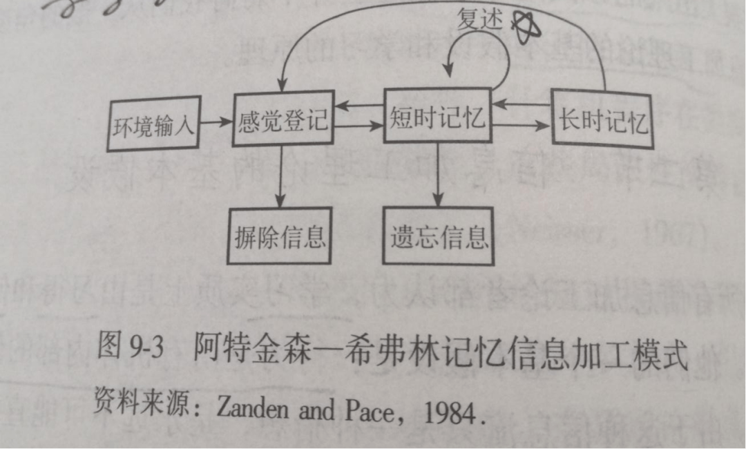 他们认为记忆可以分割成几个不同的阶段,记忆加工的程度越深,记忆的