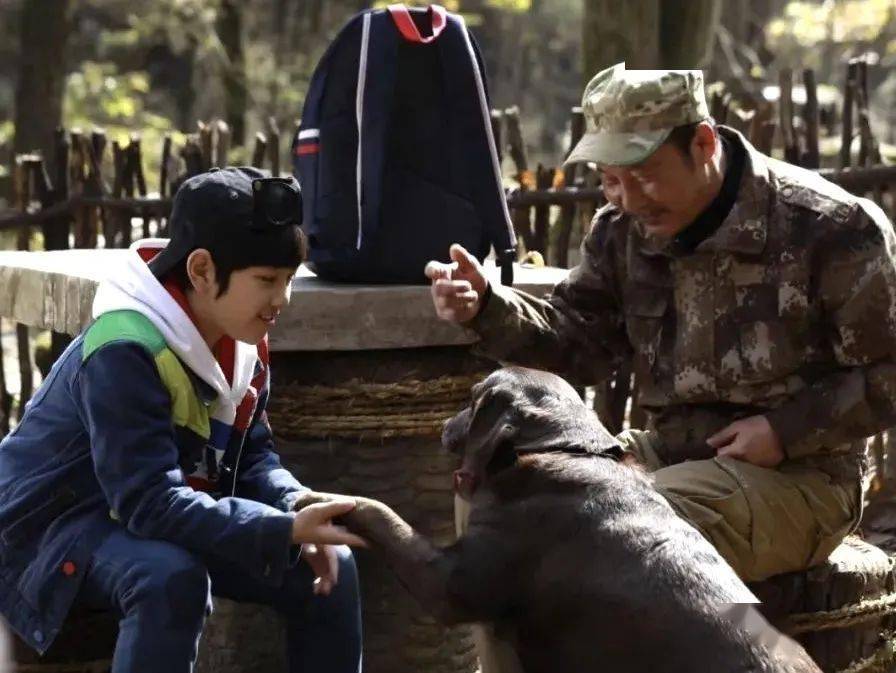 生态环保电影爷爷的牛背梁赴京上映