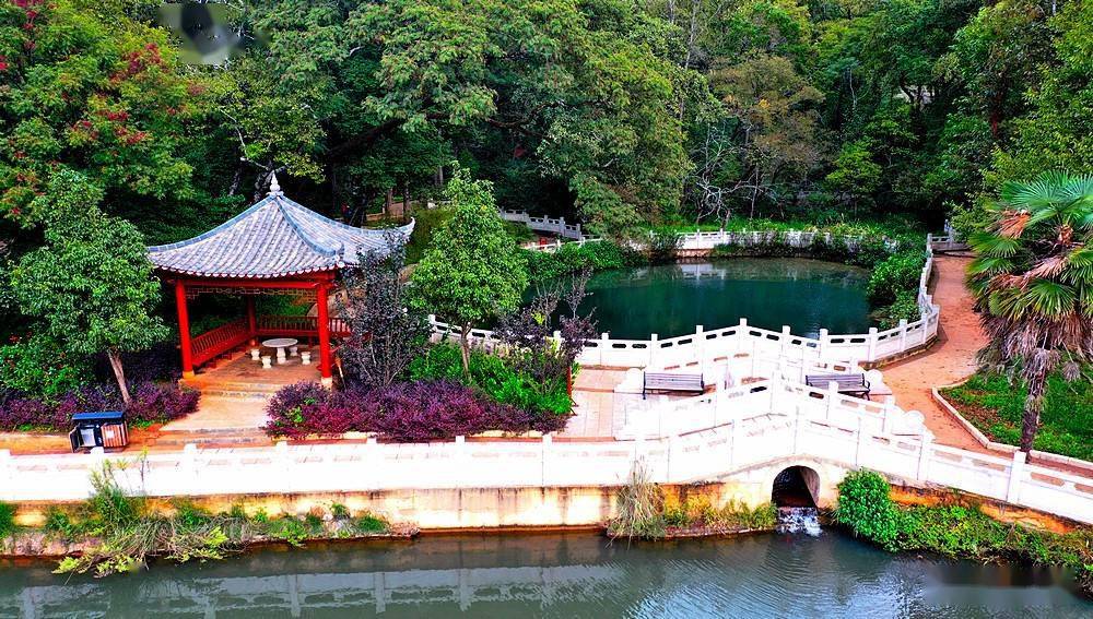 茂密青翠林中的白龙潭