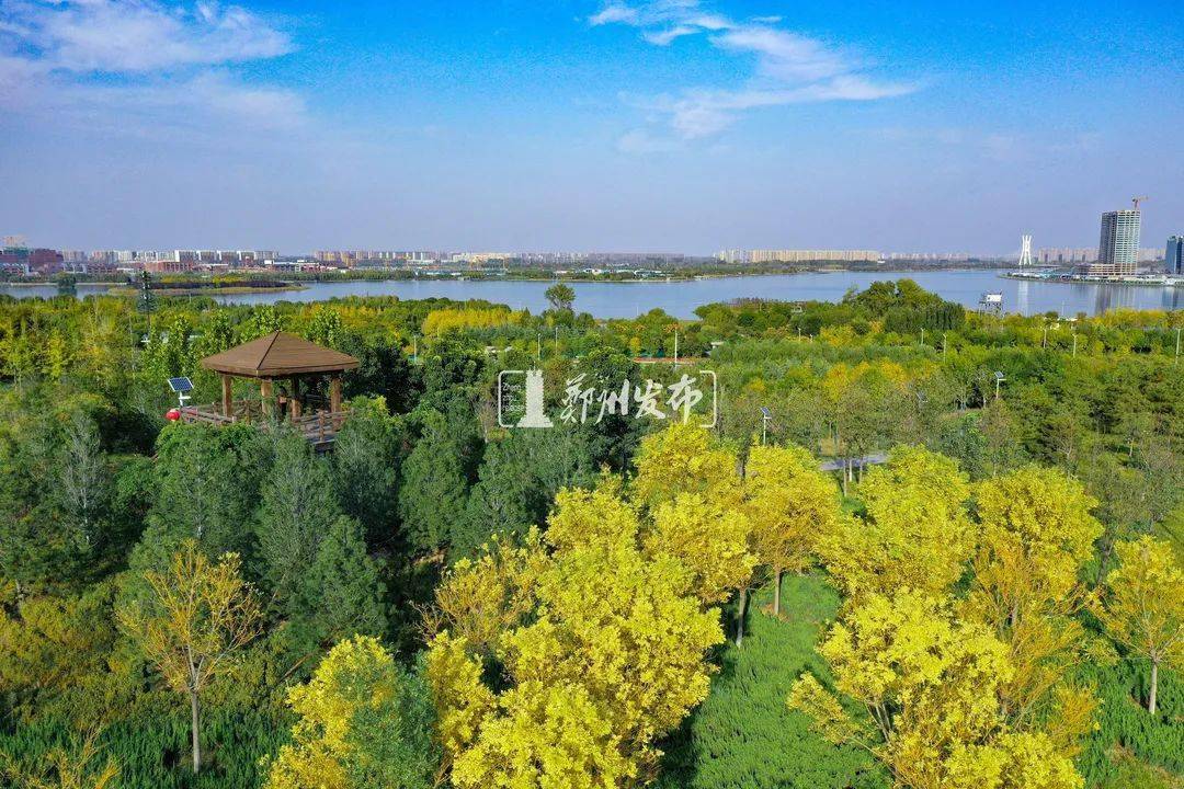 郑州企业排行_蓝天!郑州优良天数城市排名提升