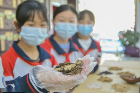 中药房|体验中医文化 迎接“世界传统医药日”