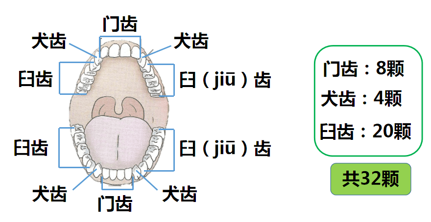 荟萃科学优质课共享教育智慧果2021年霞山区科学竞赛课分享十一