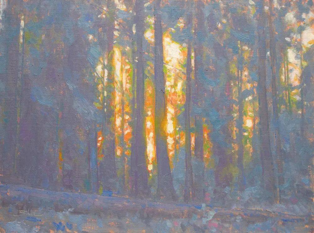 美国画家丹舒尔茨完美光色表达的简约风景油画作品欣赏