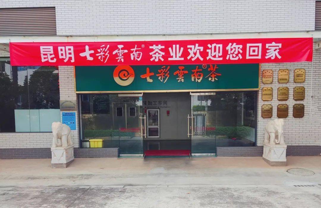 七彩云南茶叶热情欢迎全国各地的学员回家"七彩云南茶叶经销商总部