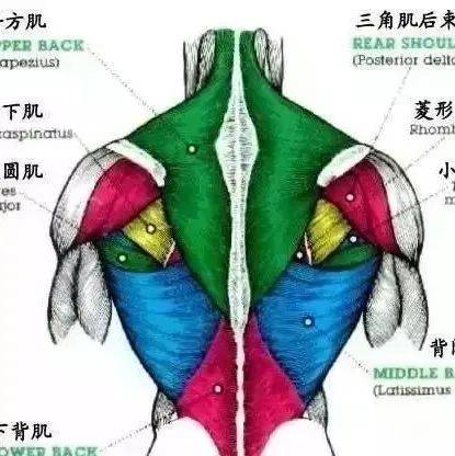 十个王牌练背动作,你练过几个?_训练