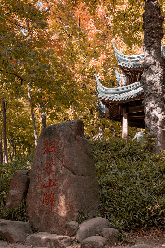 中的范仲淹遗迹邂逅了文人墨客的诗意江南我在天平山苏州人的一年游事