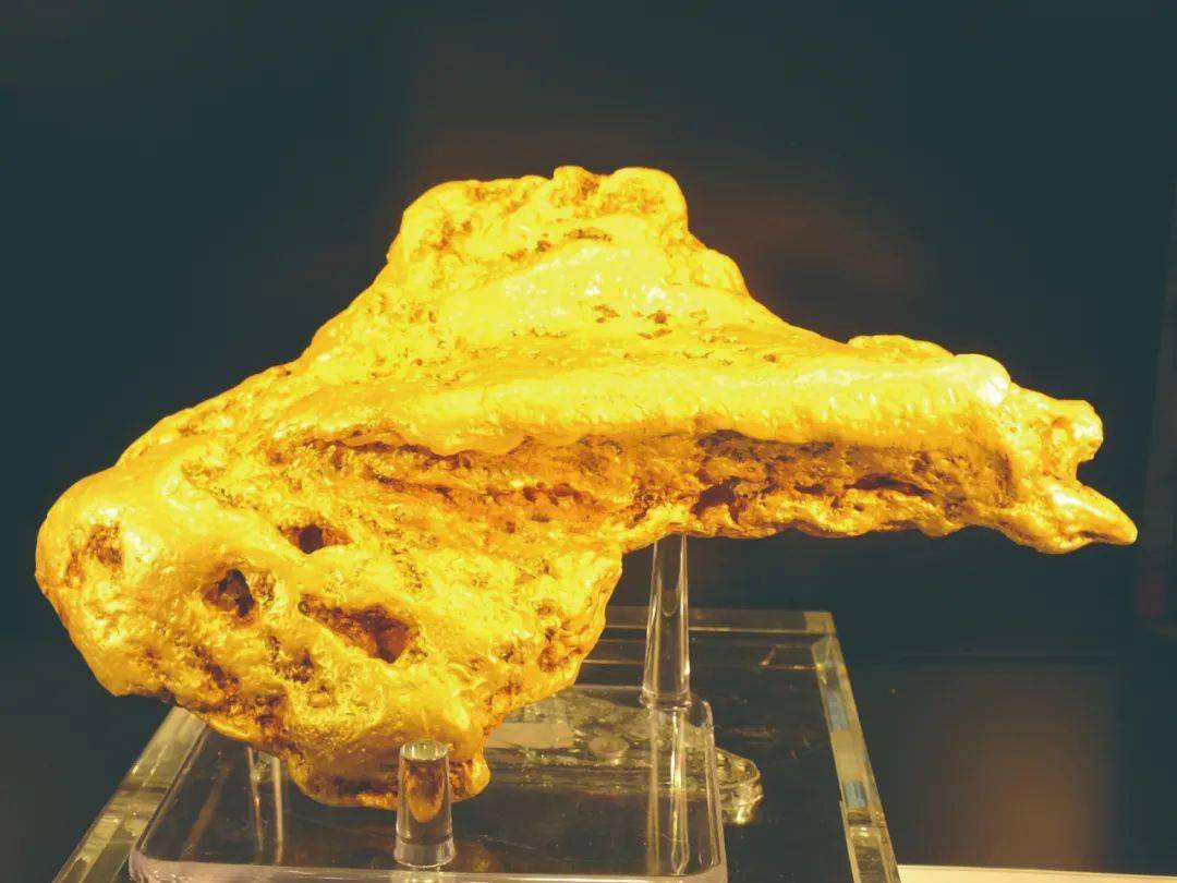 狗头金不简单的金疙瘩