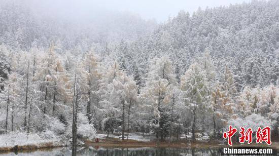 四川理县毕棚沟景区迎来首场降雪