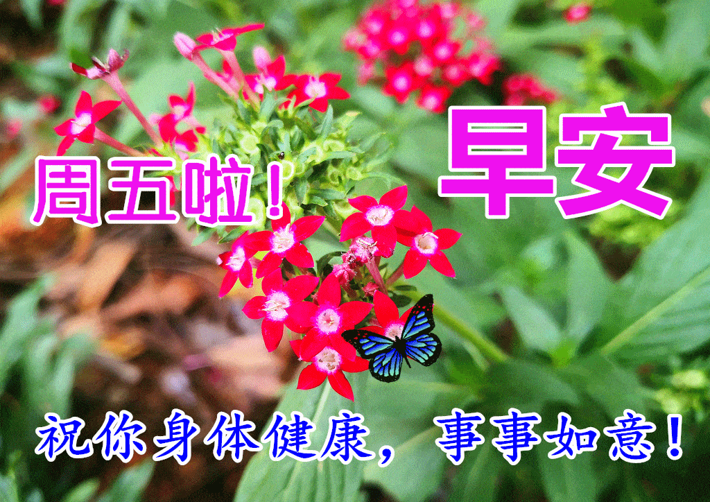 10月22日早上好动态表情图片大全,早晨好动图美图大全