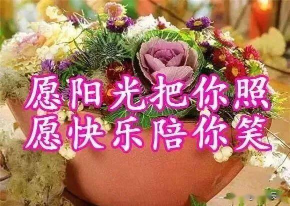 藏头小诗/明天霜降,祝你安康