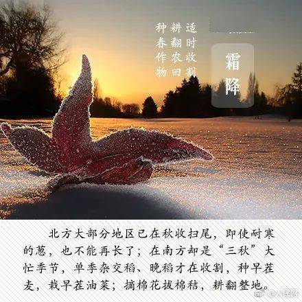 谚语|今日霜降，大人、孩子多吃这些蔬菜，对身体最好