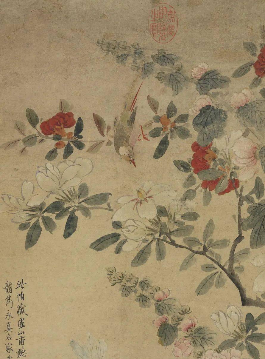 赏画|元 张中《写生花鸟轴》