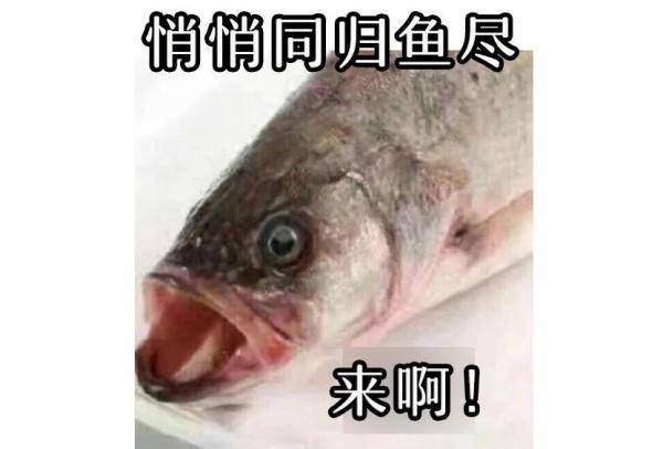 伤口|最近吃鱼要小心！这个细节易染致命病菌，不少人都忽略...