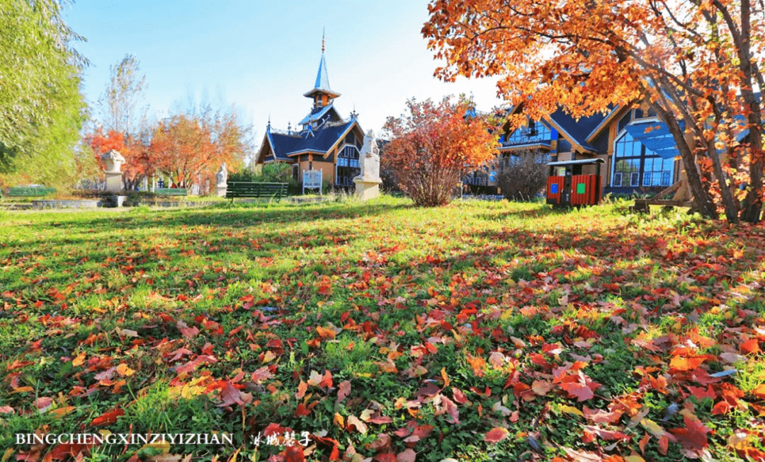 这个秋天,被收藏起来的哈尔滨醉美秋色